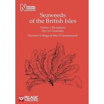 Algas de las Islas Británicas: Ceramiales por Christine A. Maggs
