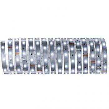 Tira LED MaxLED 250, 5m, Luz Diurna 6500K, Dimmable, Cortable, IP20