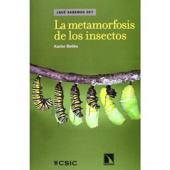 La Metamorfosis De Los Insectos
