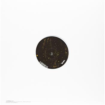 Gamma Ray Burst [Vinilo]