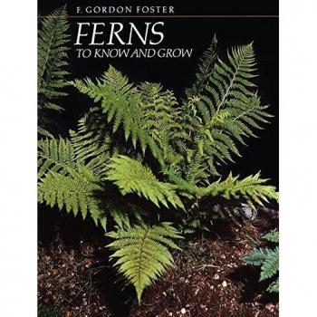Ferns to Know and Grow