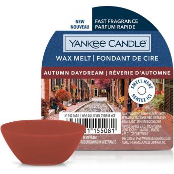 Yankee Candle Autumn Daydream Wax Melt Signature 22 g