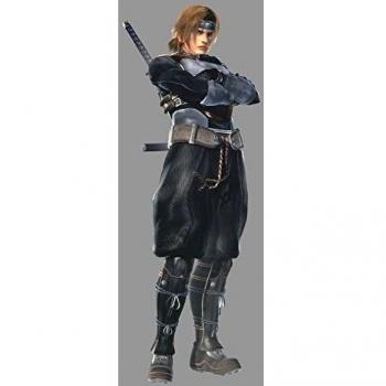 24x47 inch Dead or Alive 5 Silk Poster Seda Cartel CGS7-3AB