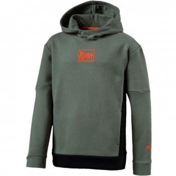 Sudadera Sportswear Puma Style Hoody B Laurel Wreath