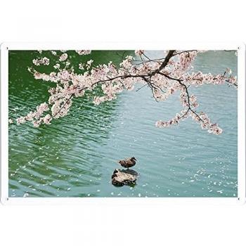 Metal cartel Cartel de chapa Hojalata sesión Duck Stone Spring Tree Flowers Petals 46192 Retro Vintage Pared Decoración by hamgaacaan