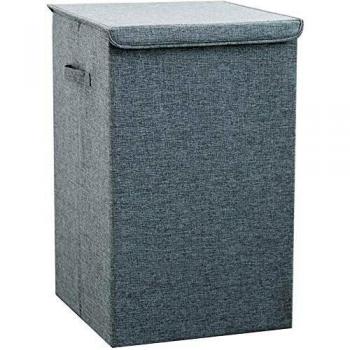 Delgeo Cesto para Ropa,Cestas de Lavandería de Gran Capacidad, Plegable de 64 L, Cesta de Almacenamiento Gris con Tapa y Asas, Aptas para Dormitorios, Lavadero, Baño