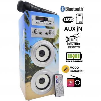 DYNASONIC Altavoz Karaoke Bluetooth 10W, Reproductor mp3 inalámbrico Portátil, Lector USB SD, Radio FM - Modelo 9