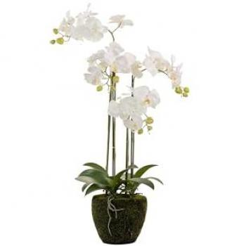 Orquídea de Poliéster Blanca con Maceta - 45x45x86 cm - Complemento Perfecto para Decoración