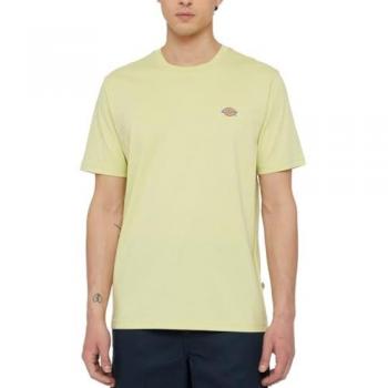 Camiseta Dickies SS Mapleton Pale Green, manga corta, color verde pálido, modelo H141 T. S