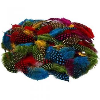 Plumas de Aves de Guinea Surtidas, 50 g, 1 Paquete