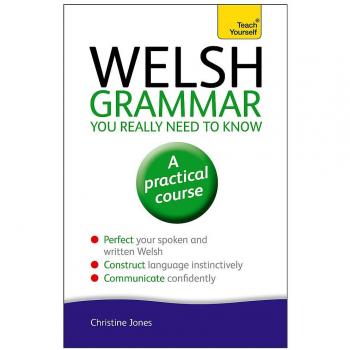 Welsh Grammar You Really Need to Know: Teach Yourself