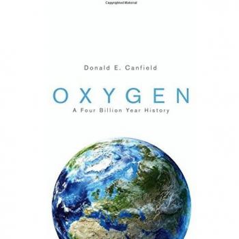 Oxygen: A Four Billion Year History: 26