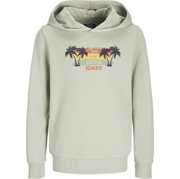 Jack & Jones Summer SMU Vibe Kids Hoodie