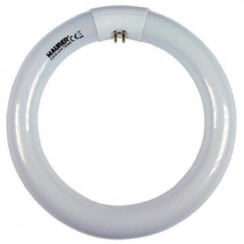 Tubo Fluorescente Circular Trifósforo T9 22 W. 216 mm.