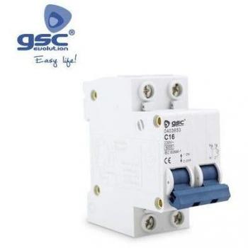 Interruptor automático 1P+N 20A GSC 000403681