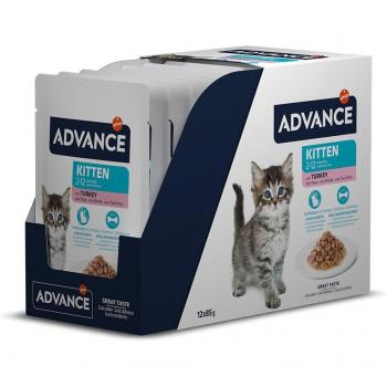 Advance Kitten Pavo Comida Húmeda para Gatitos - Pack Económico: 24 x 85 g