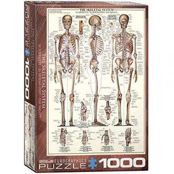Puzzle Eurographics - Sistema Esquelético, 1000 Piezas