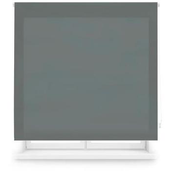 Estor Enrollable Translúcido a Medida - Diseño Elegante en Color Gris Pastel, Tamaño 85 x 175 cm, Fácil Montaje y Mantenimiento Sencillo