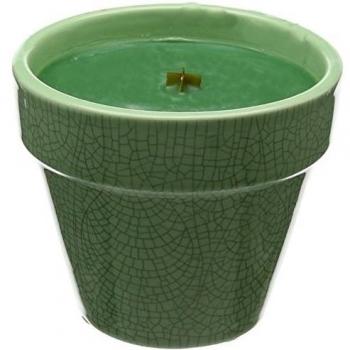 Woodwick 25912 hierbas Jardín Decorativa duftkerze en maceta, cerámica, Verde, 10.7 x 10.6 x 9.1 cm