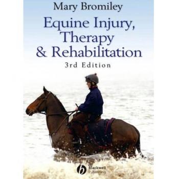 Equine Injury, Therapy and Rehabilitation