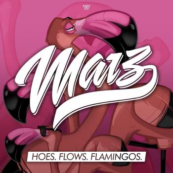 Hoes.Flows.Flamingos.