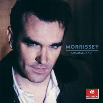 Vauxhall and i 20th anniversary definitive master vinyl