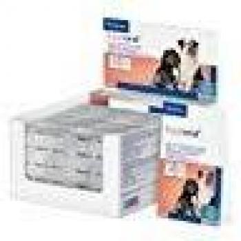 Farmadiet Hyaloral Joint Care Supplement for Large and Giant Dog Breeds