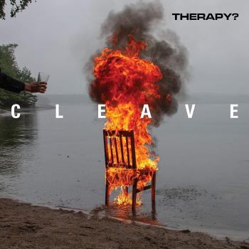Cleave vinilo