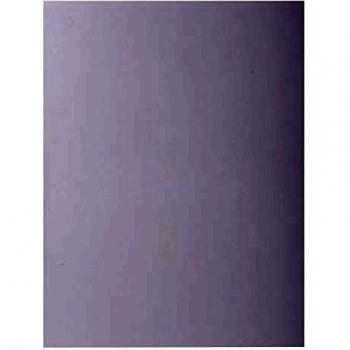 Exacompta 217117E - Lote de 10 Subcarpetas RockS 220, Color Blanco