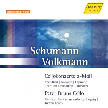 Most Beautiful Cello Concertos of the 19th Century