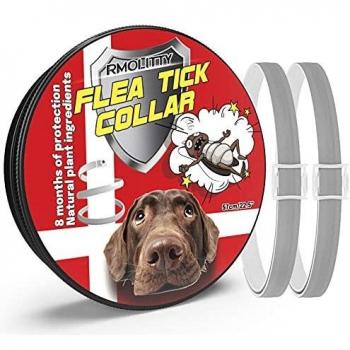 Rmolitty Collar Antiparasitario Perros Collar para garrapatas, 8 Meses de Protección para Pequeña Medio Grande Perros