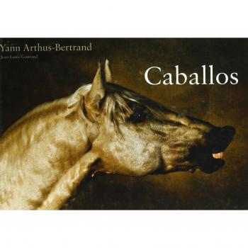 Caballos