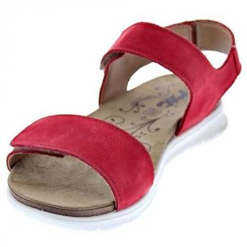 Zapatillas bajas Ilse Jacobsen - Modelo Tulip4092