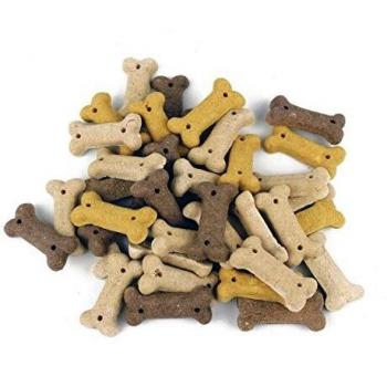 biozoo Galletas Snacks Premio Aperitivo Educativo para Perro Vainilla HUESITOS Tupper 1 KG