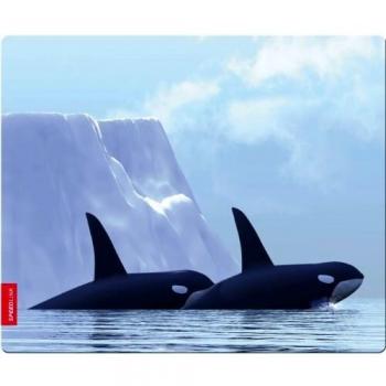 Speedlink Orca SL-6242 - Alfombrilla de seda para ratón, diseño de orcas