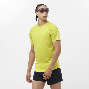 Camiseta de hombre Salomon Cross Run Trail Running Manga Corta Lila