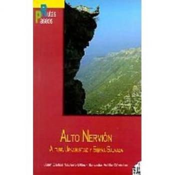 Alto Nervión
