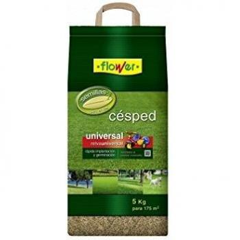 Flower 10784 - Semilla césped universal, 5 kg