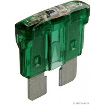 Fusible HERTH+BUSS ELPARTS 50295830066 - Pack de 10 unidades