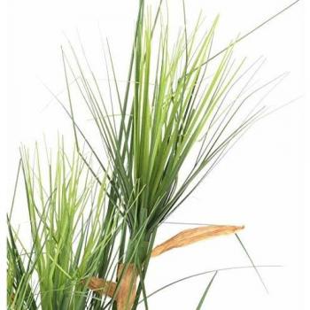 90 cm Artificial Grass Plant