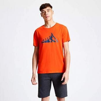 Dare2b Integrate - Camiseta con Estampado Gráfico De Algodón Transpirable De Estilo Informal Y Manga Corta T-Shirts/Polos/Vests, Hombre, Trail Blaze, XXL