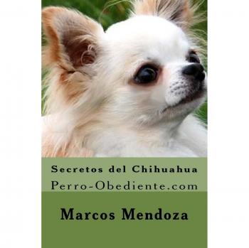 Secretos del Chihuahua: Perro-Obediente.com