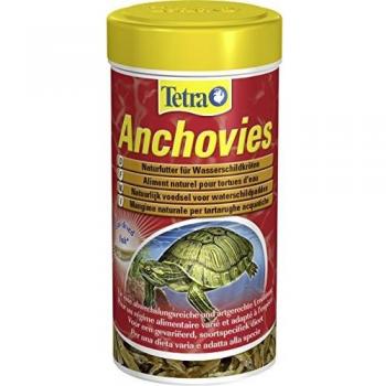 Tetra, anchovies