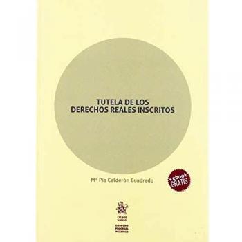 Tutela de los Derechos Reales Inscritos