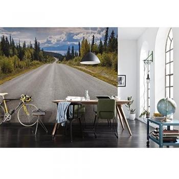 Fototapete Komar Atlin Road, 368x254 cm, incluye pegamento