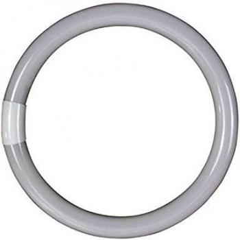 Wurko 2498/237-03 Tubo Fluorescente, 32 W, Blanco, 30 cm