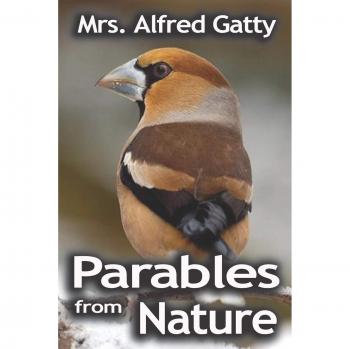 Nature's Lessons: Parables by Margaret Gatty