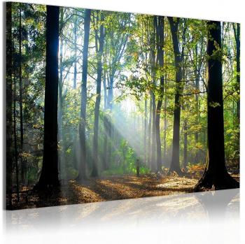 DekoArte 312 - Cuadros Modernos Impresión de Imagen Artística Digitalizada | Lienzo Decorativo Para Salón o Dormitorio | Estilo Paisaje Bosques Árboles con Rayos de Sol Naturaleza | 1 Pieza 120x80cm