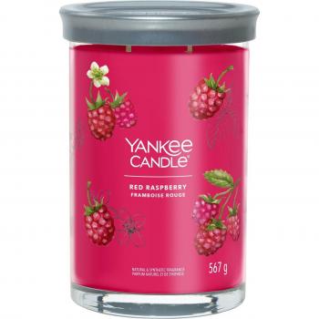 Yankee Candle Large Tumbler Red Raspberry Scented Candle 567g