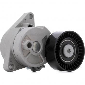Polea tensora RIDEX 310T0022 para BMW, compatible con modelos 3 (E46), 5 (E39) y Z3 Roadster, correa poli V